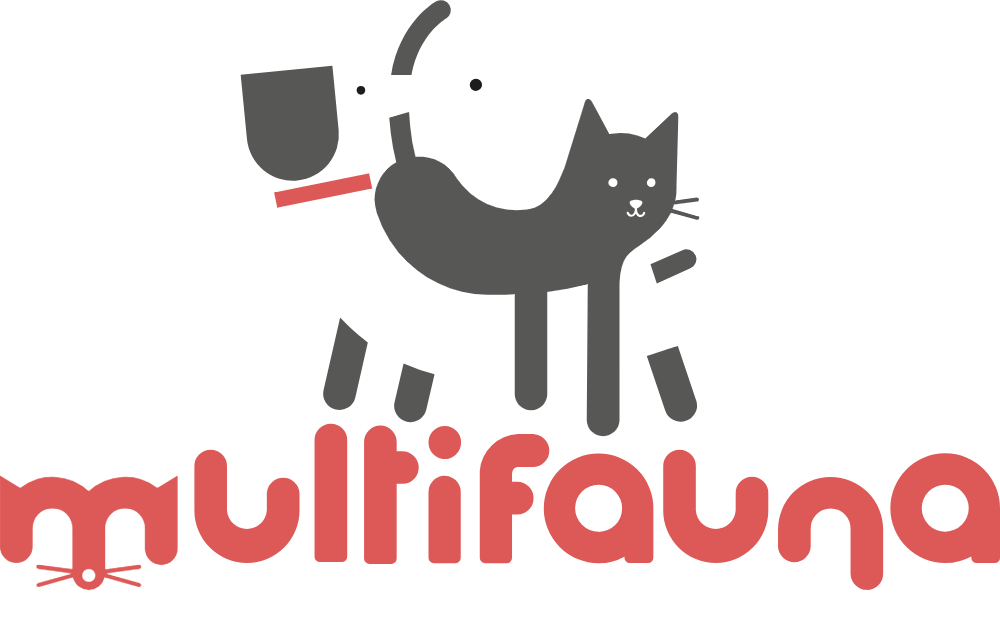 Featured image: Com reduir l’estrès del teu gat quan ha de venir a la clínica veterinària